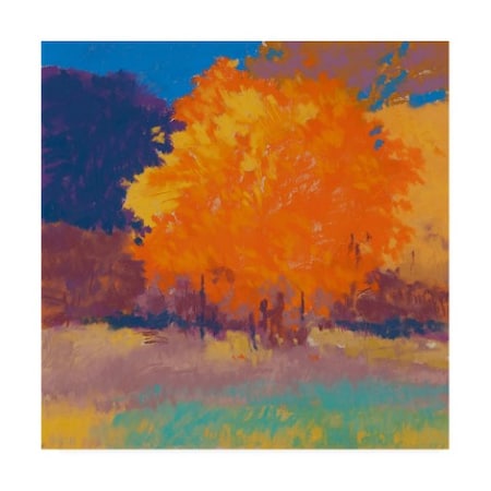 Mike Kelly 'Orange Maple Trees' Canvas Art,24x24